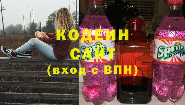 спиды Пересвет