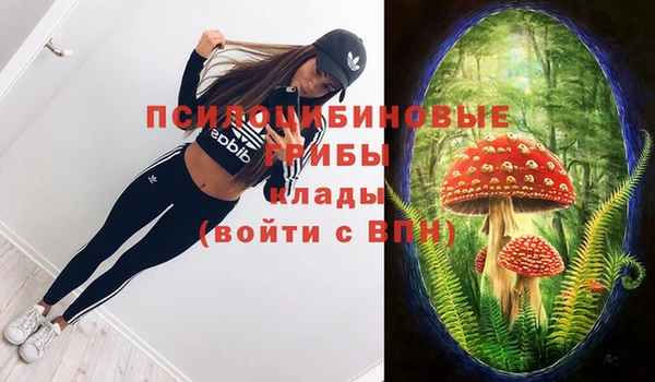 не бодяженный Армянск