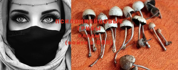 PSILOCYBIN Арсеньев