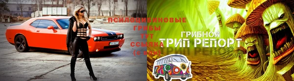PSILOCYBIN Арсеньев